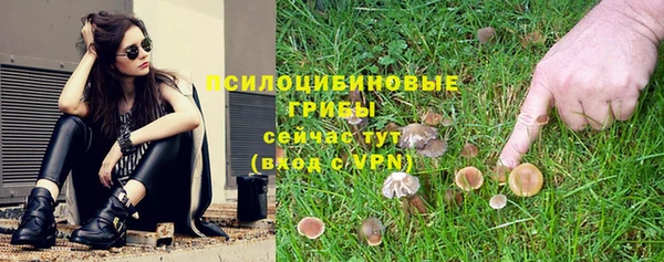 кокс Абаза