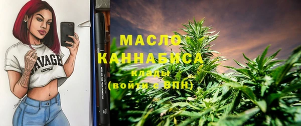 мет Пестово